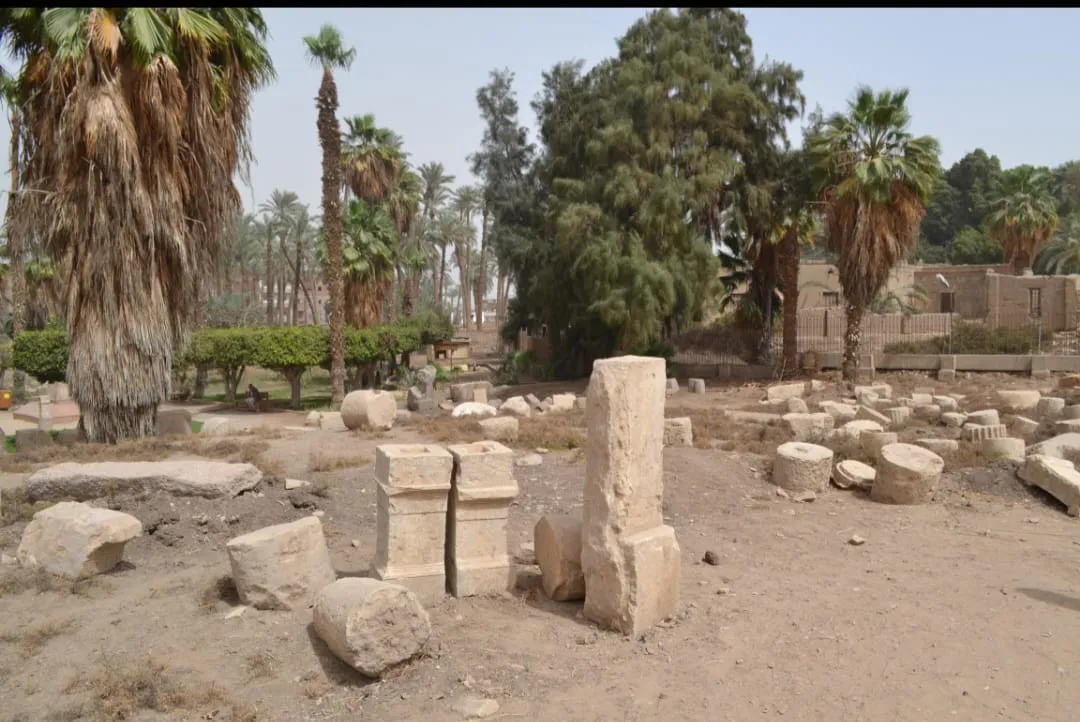 Memphis tour The Ancient Capital of Egypt /IMG-20260701-WA0074.jpg